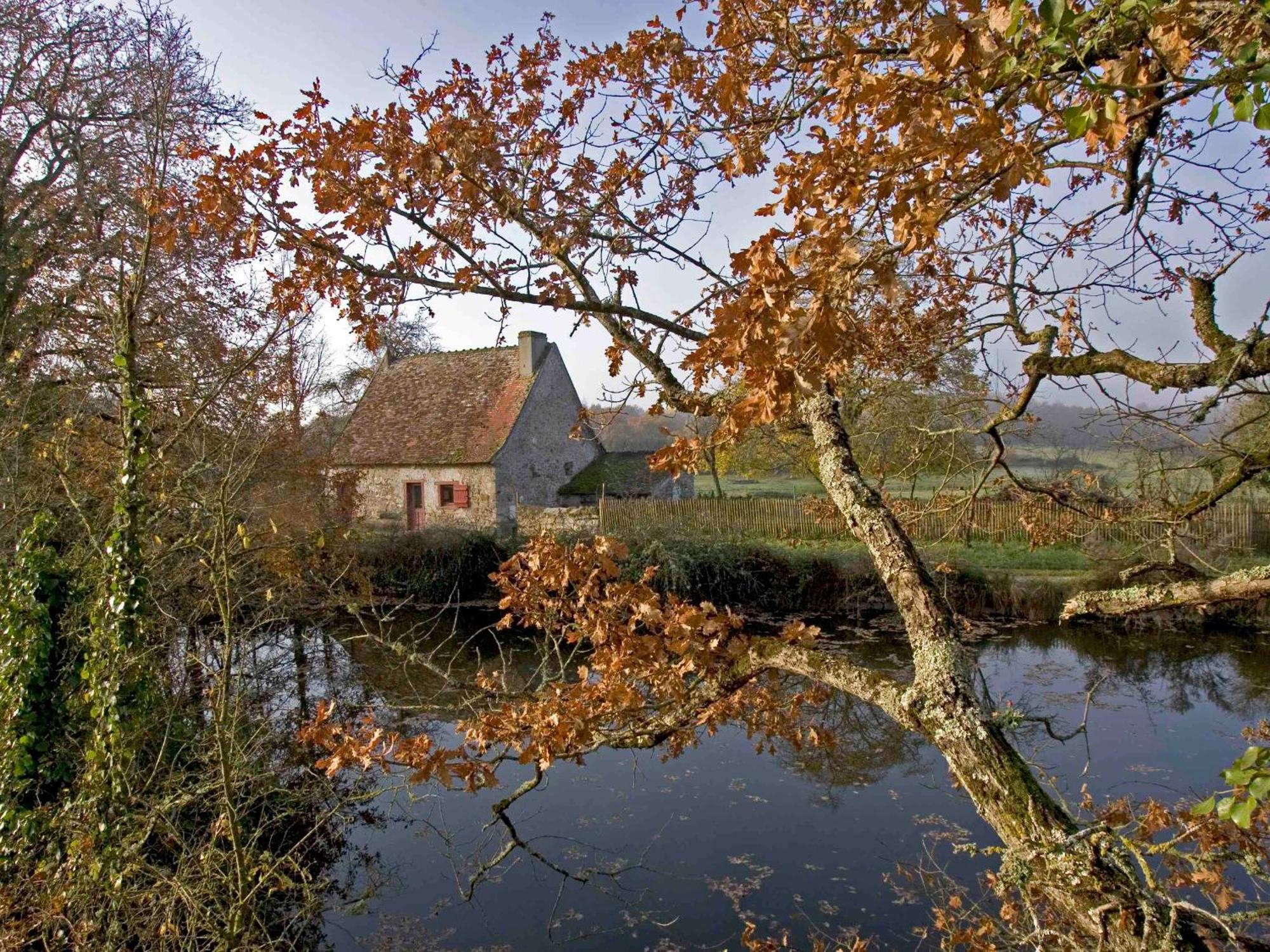 Sejour Nature Au Coeur Du Parc De La Brenne: Gite 4 Chambres, Jardin Et Terrasse, Proche De Rosnay - Fr-1-591-141 Exterior foto
